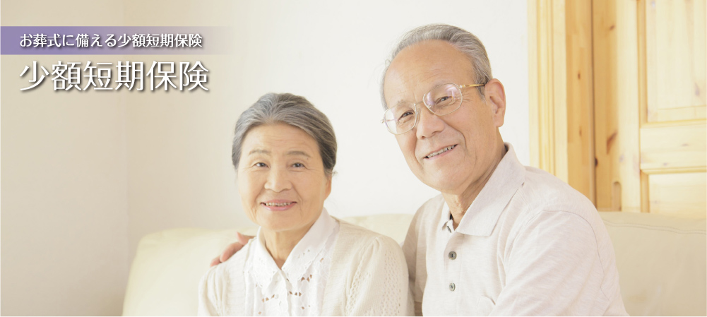 少額短期保険