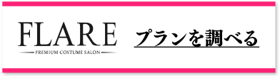 FLARE プランを調べる